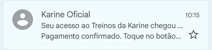 E-mail de acesso do Treinos da Karine chegando na caixa de entrada